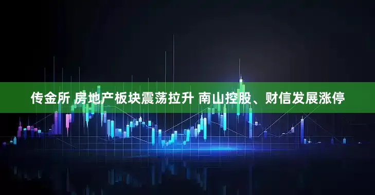 传金所 房地产板块震荡拉升 南山控股、财信发展涨停