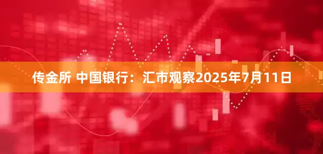 传金所 中国银行：汇市观察2025年7月11日