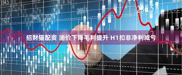 招财猫配资 油价下降毛利提升 H1扣非净利减亏