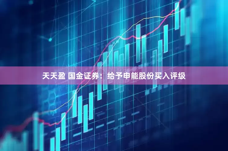 天天盈 国金证券：给予申能股份买入评级