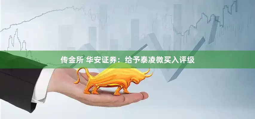 传金所 华安证券：给予泰凌微买入评级