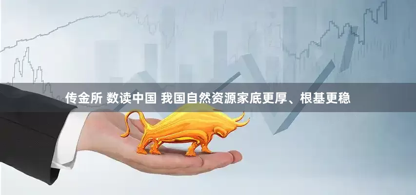 传金所 数读中国 我国自然资源家底更厚、根基更稳